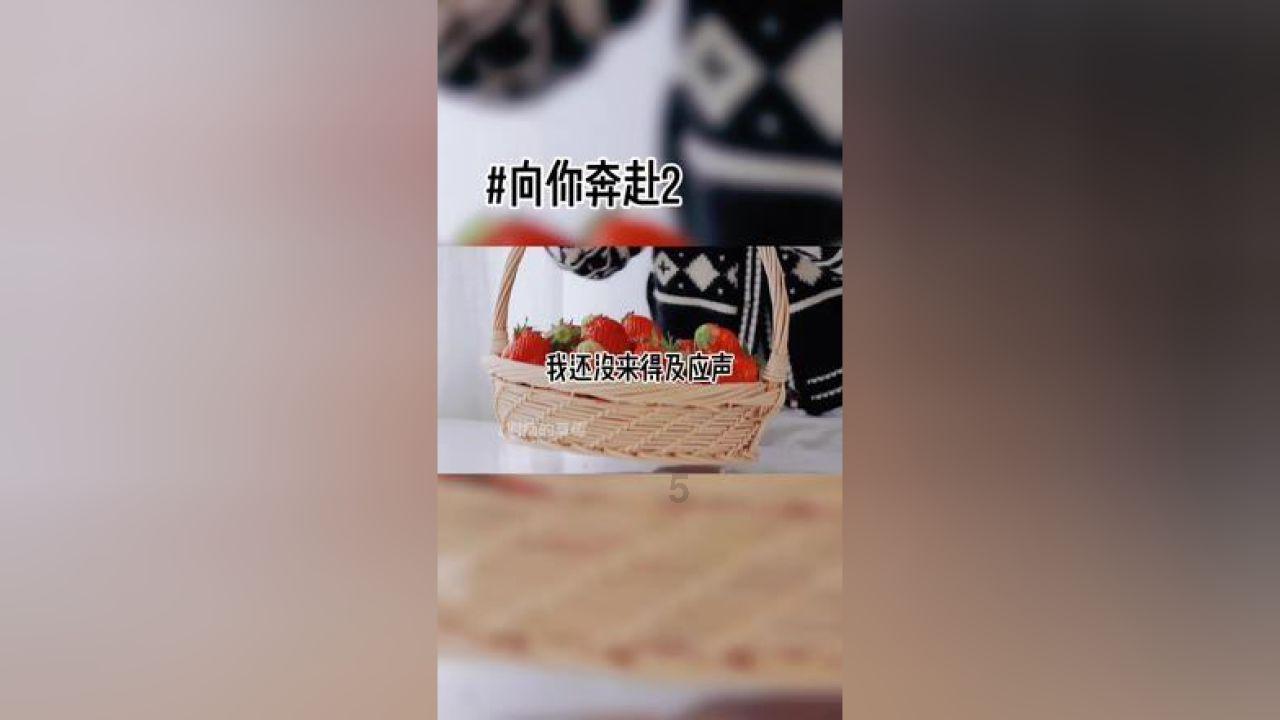 救援甜蜜熊