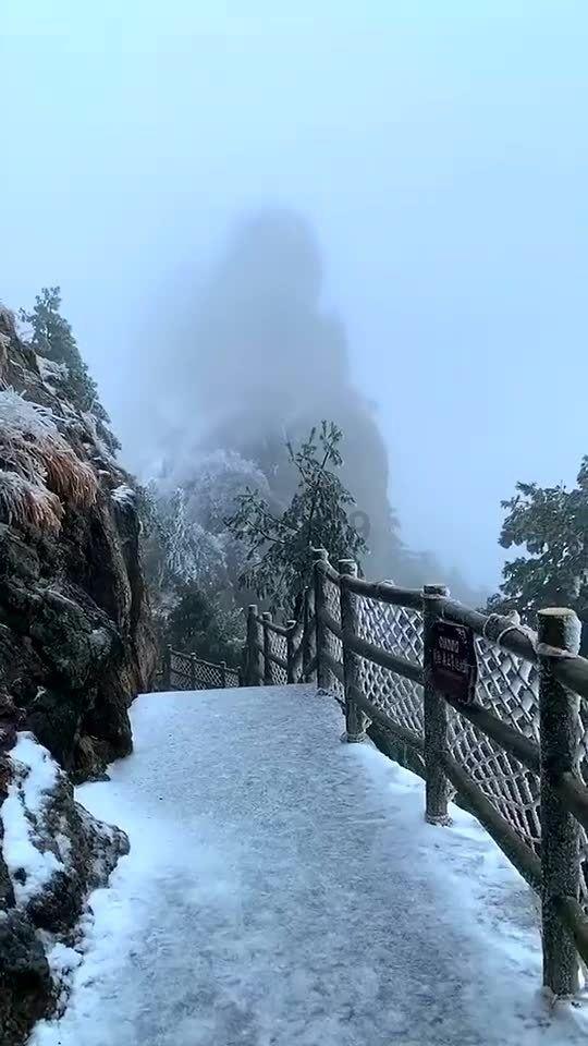 拯救蝙蝠家族