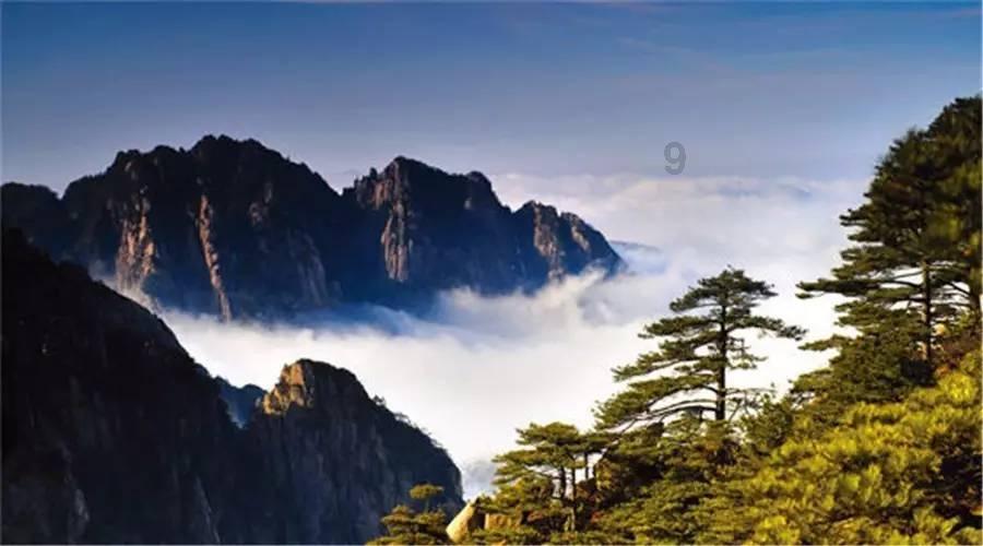 青春再聚力，开新赴未来！总台2024网络春晚“乘光”始发