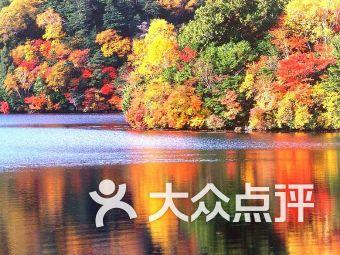 欢迎王子公主回济宁过大年
