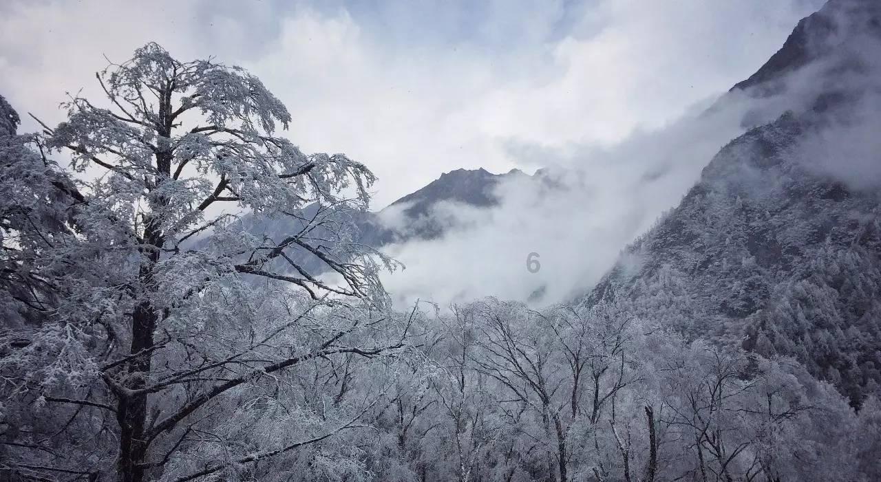 请校友回湘,这三句话三个“最”诚意满满