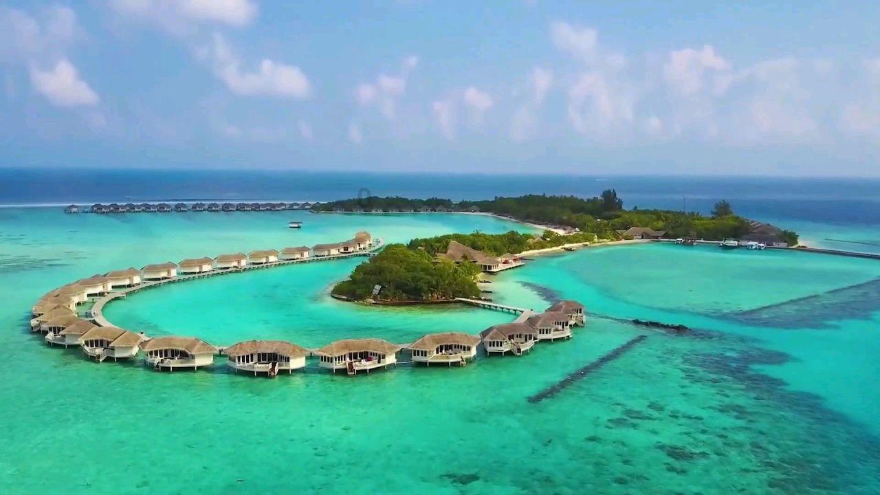 妙鸭相机app下载官网