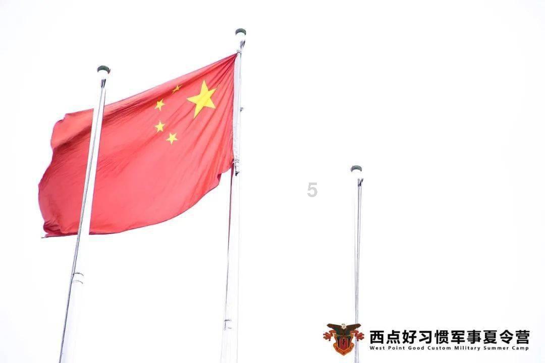 蓝色小球入袋
