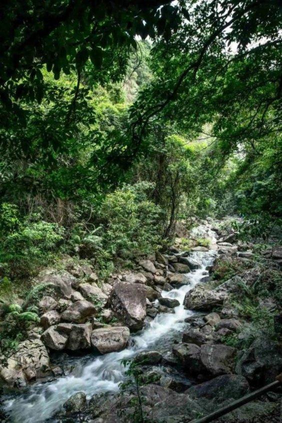 温医大教授 获省特级专家称号
