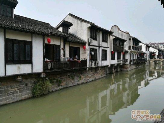是不是老实人容易吃亏？游戏画面