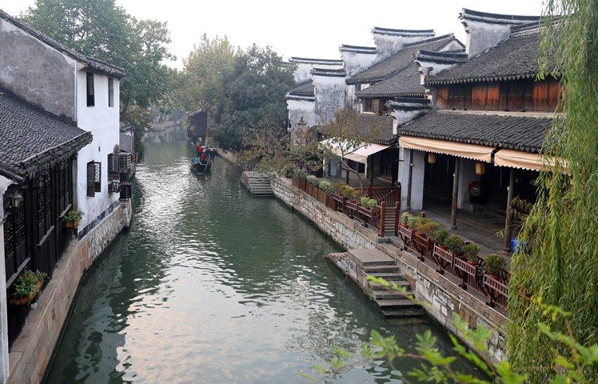 动物帮帮忙保卫家园