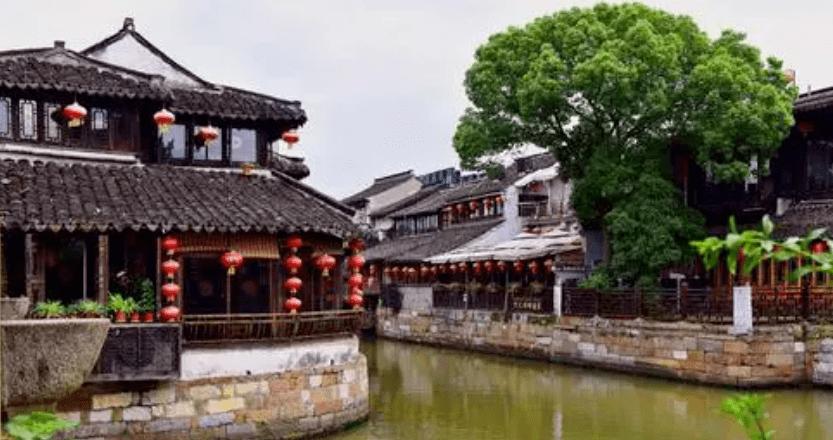 臭屁虫吃吃吃