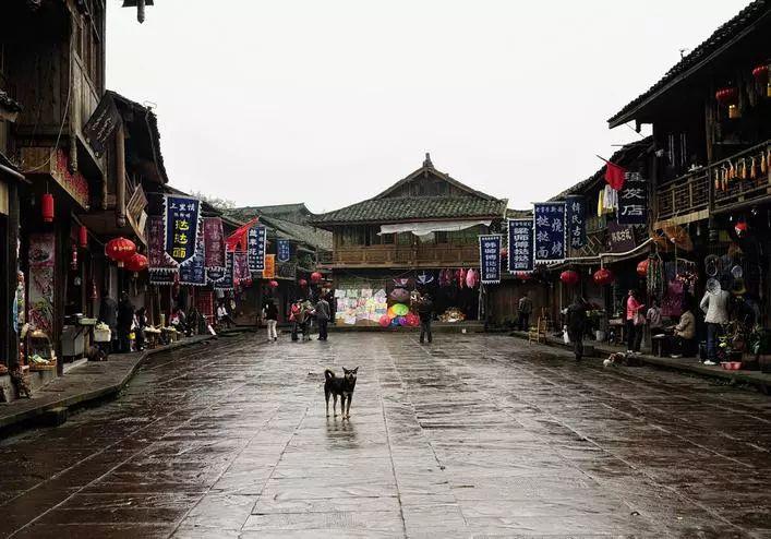 妙鸭相机app下载官网