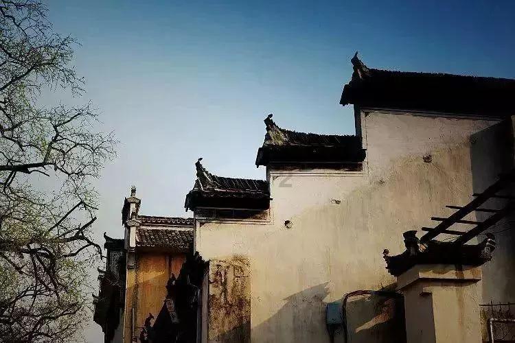 让世界看见我美丽的家乡